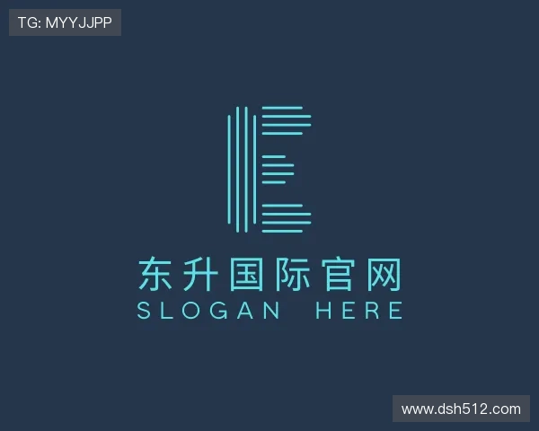 解读东升国际官网